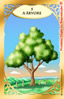 2 cartas